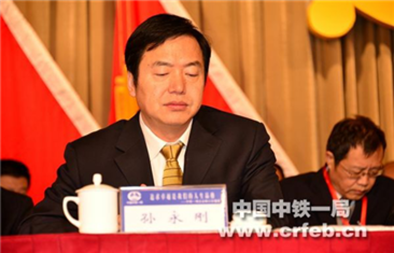 中國中鐵股份公司副總工程師孫永剛參加會議